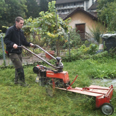 Maschinenm&auml;her Wiese